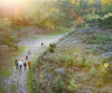 Wandelen openplek