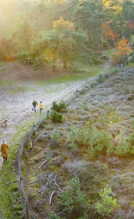 Wandelen openplek